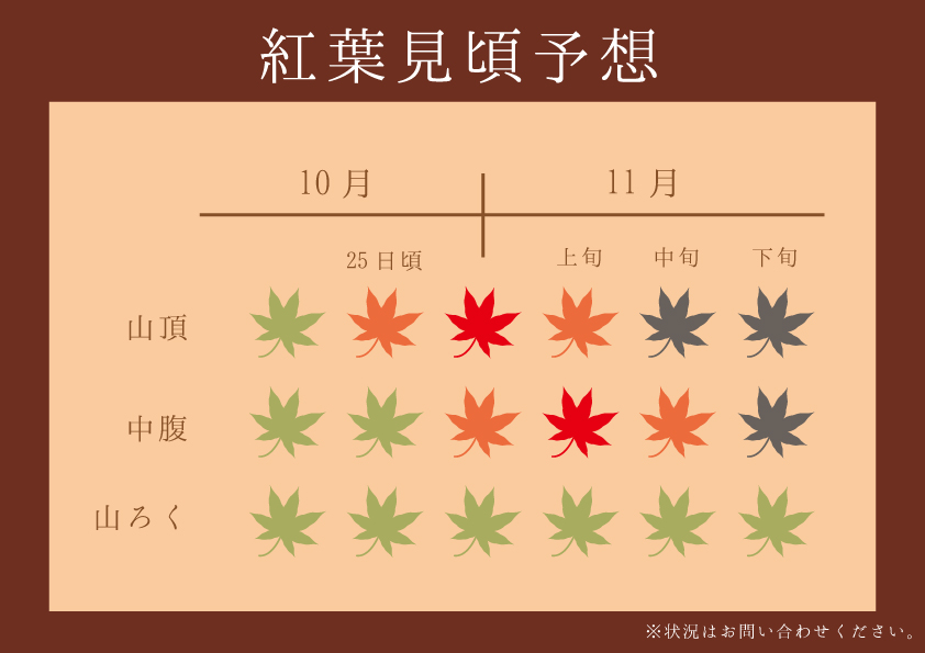 紅葉状況 びわ湖バレイ スキー場 びわ湖テラス