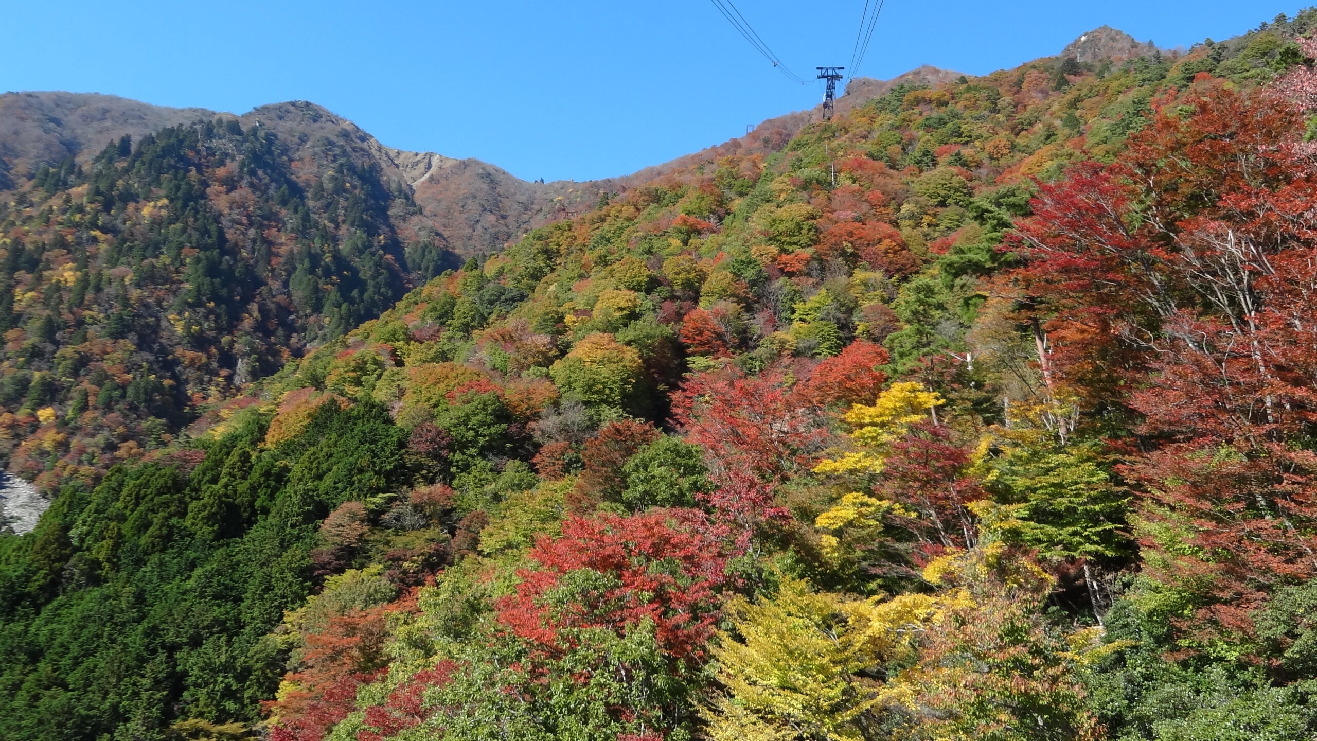 紅葉状況 びわ湖バレイ スキー場 びわ湖テラス